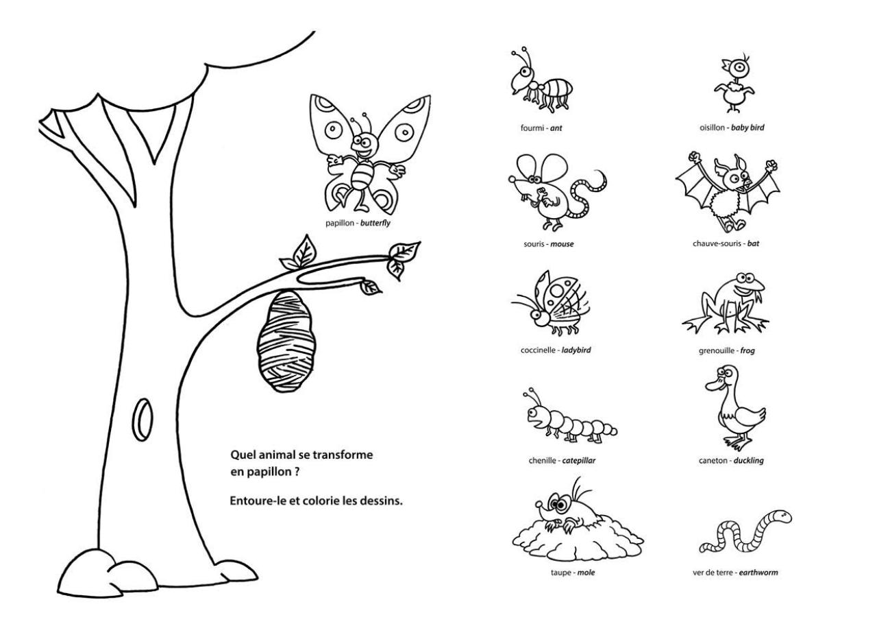Aperçu du fichier PDF carnet-coloriage-kiwi.pdf