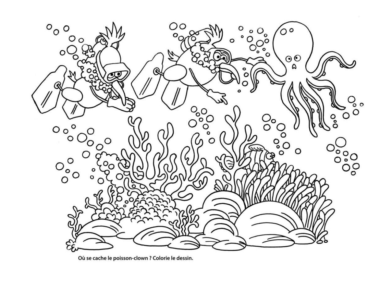 Aperçu du fichier PDF carnet-coloriage-kiwi.pdf