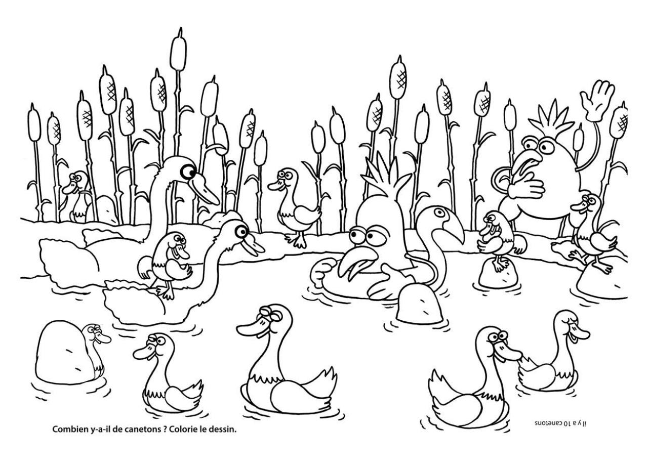 Aperçu du fichier PDF carnet-coloriage-kiwi.pdf