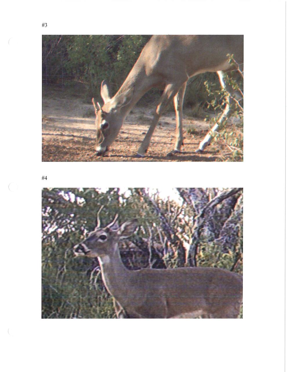 Aperçu du fichier PDF suzuki-service-manual-gt-125-02.pdf