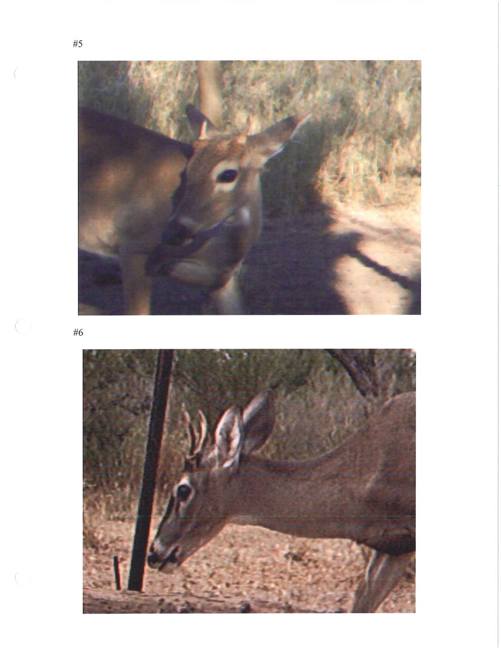 Aperçu du fichier PDF suzuki-service-manual-gt-125-02.pdf