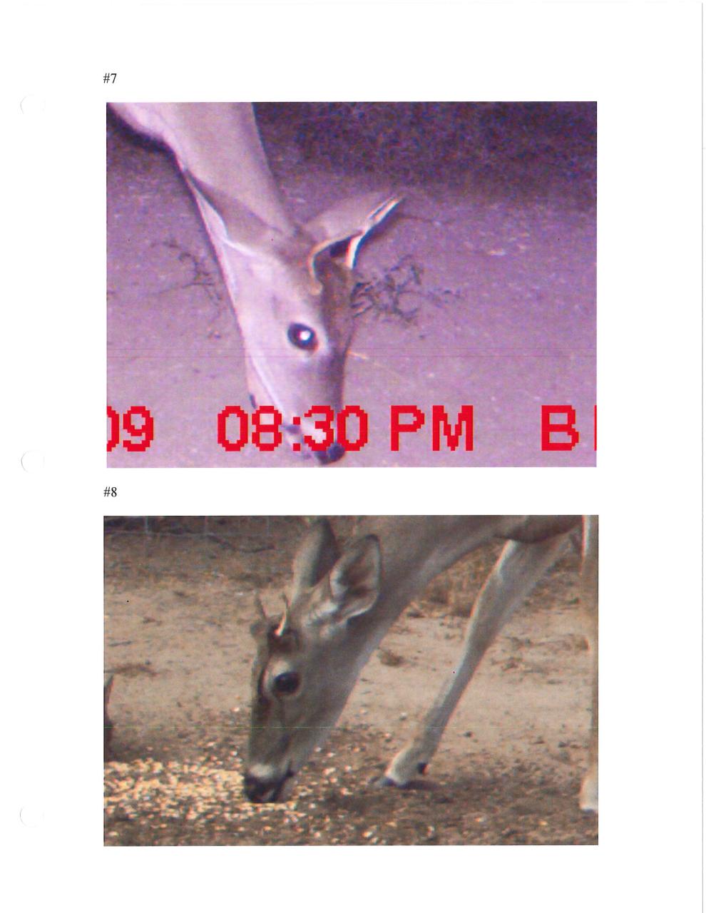 Aperçu du fichier PDF suzuki-service-manual-gt-125-02.pdf