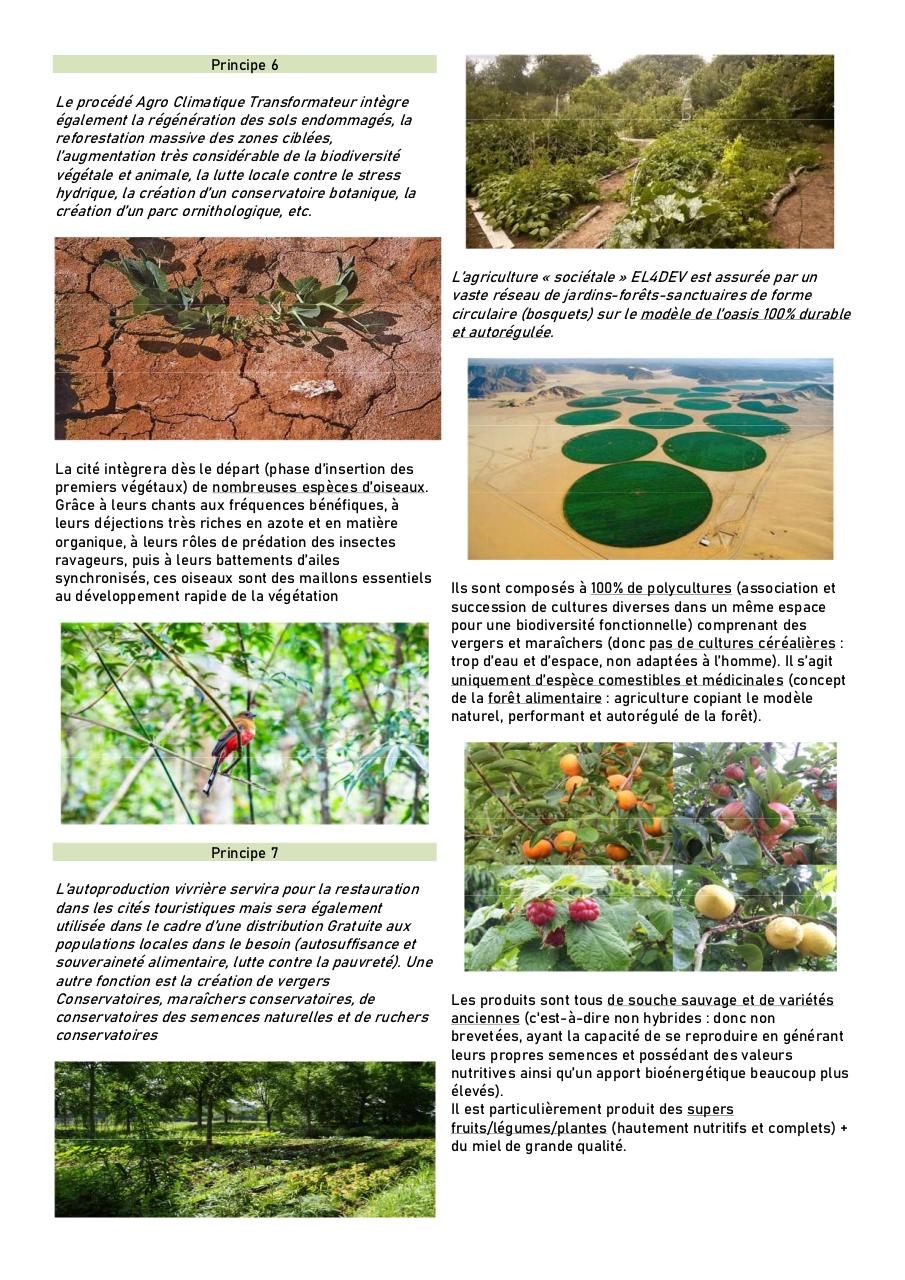 EL4DEV FR 6.pdf - page 3/7