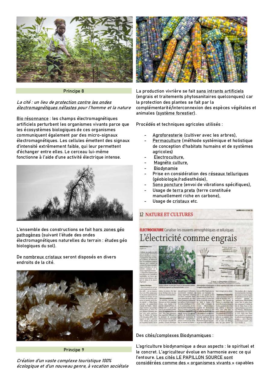 LE PAPILLON SOURCE FR 6.pdf - page 4/7