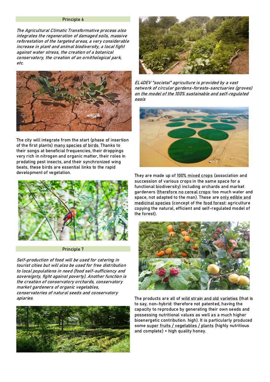PAUL DELSART ENG 6.pdf - page 3/7