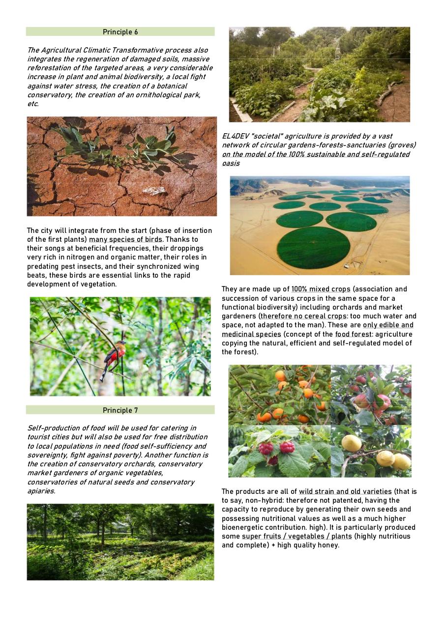 Agroclimatic cities.pdf - page 3/7